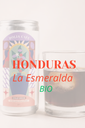 COLD BREW Honduras Bio