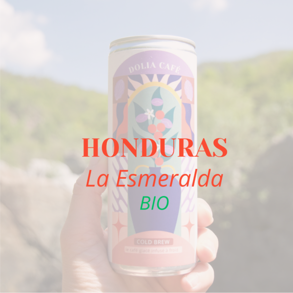 COLD BREW * HONDURAS BIO