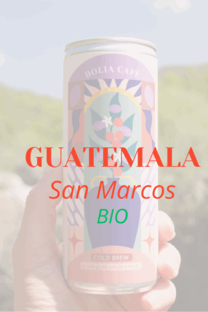 COLD BREW * Guatemala Bio