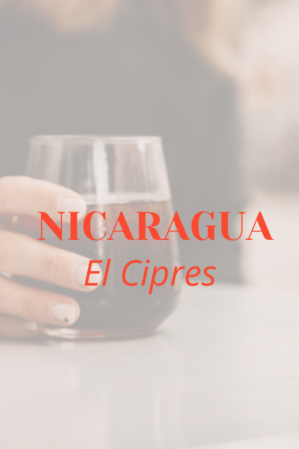COLD BREW * NICARAGUA EL CIPRES
