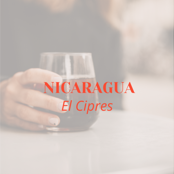 COLD BREW * NICARAGUA EL CIPRES