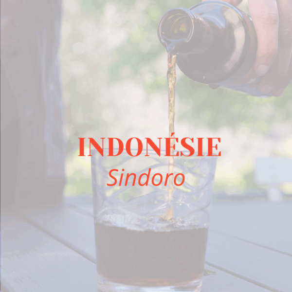 COLD BREW * INDONÉSIE SINDORO