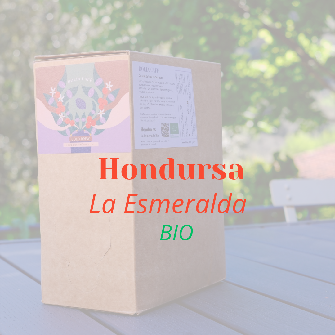 COLD BREW HONDURAS Honduras Bio