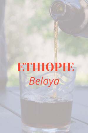 COLD BREW * Ethiopie Beloya