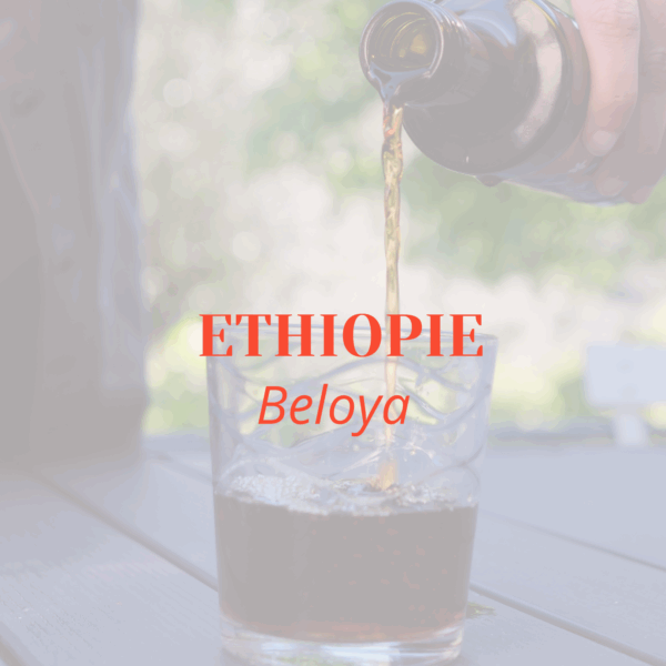 COLD BREW * Ethiopie Beloya