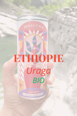 COLD BREW * Ethiopie Uraga Bio