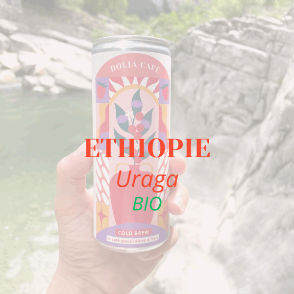 COLD BREW * Ethiopie Uraga Bio