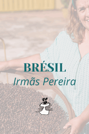 GRAIN * BRESIL IRMÃS PEREIRA