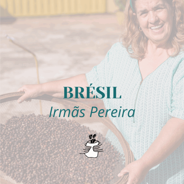 GRAIN * BRESIL IRMÃS PEREIRA