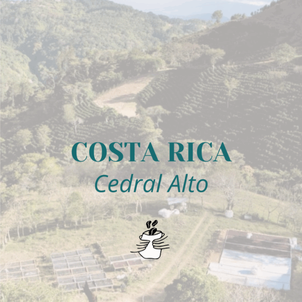 GRAIN * COSTA RICA CEDRAL ALTO