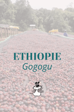 GRAIN Ethiopie Gogogu
