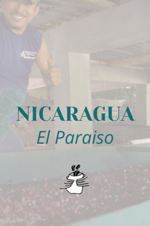 GRAIN  Nicaragua El Paraiso