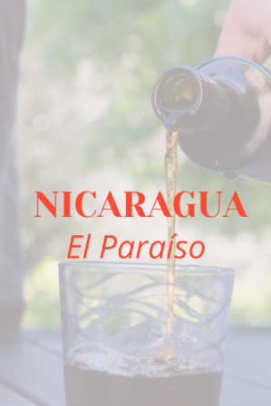COLD BREW * NICARAGUA EL PARAÍSO