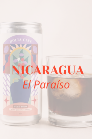 COLD BREW NICARAGUA EL PARAÍSO