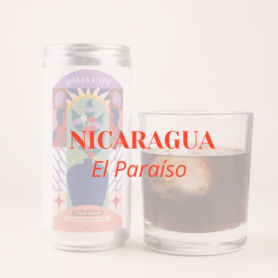 COLD BREW NICARAGUA EL PARAÍSO