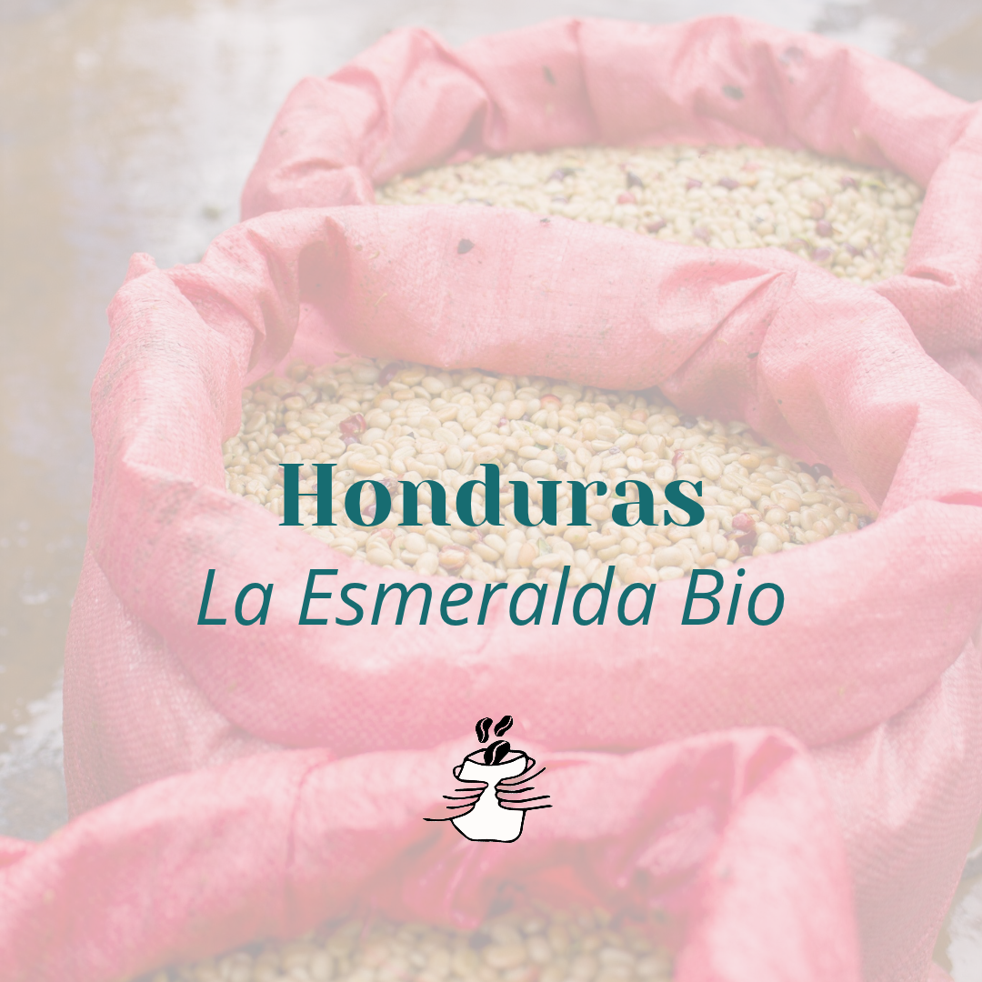 GRAIN Honduras La Esmeralda Bio
