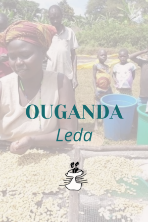 GRAIN Ouganda Leda