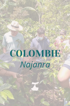 GRAIN Colombie Naranja