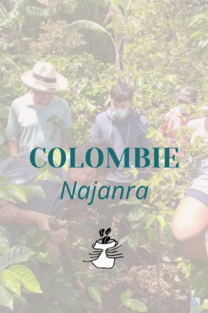 GRAIN Colombie Naranja