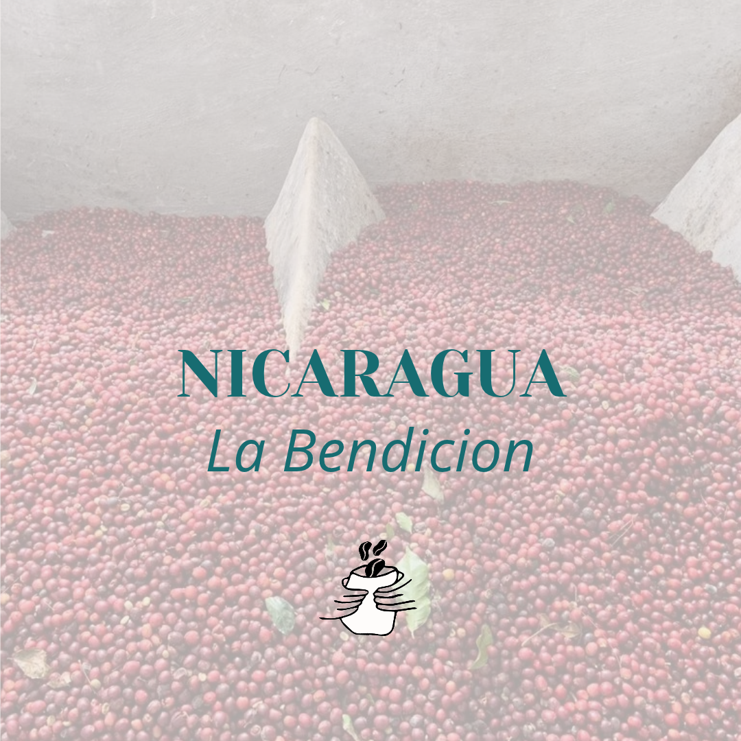 GRAIN NICARAGUA La Bendicion